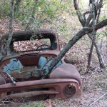 Interesting old trash located south-center of property.